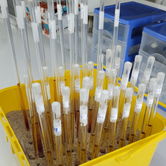 Representative picture of the project